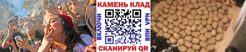ГАШ 40% ТГК Красный Холм
