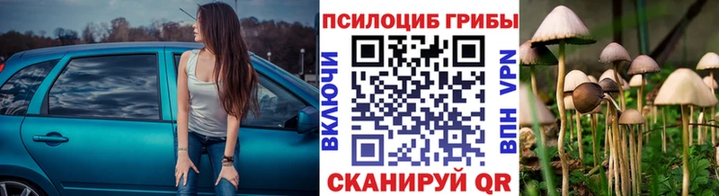 Псилоцибиновые грибы Psilocybine cubensis  hydra ссылки  это состав  Красный Холм 
